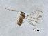  ( - QMOR83887)  @11 [ ] Unspecified (default): All Rights Reserved  Unspecified Unspecified
