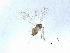  ( - QMOR83907)  @11 [ ] Unspecified (default): All Rights Reserved  Unspecified Unspecified