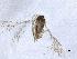  ( - QMOR83910)  @11 [ ] Unspecified (default): All Rights Reserved  Unspecified Unspecified