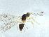  ( - QMOR84028)  @11 [ ] Unspecified (default): All Rights Reserved  Unspecified Unspecified