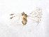  ( - QMOR84036)  @11 [ ] Unspecified (default): All Rights Reserved  Unspecified Unspecified