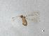  ( - QMOR87415)  @11 [ ] Unspecified (default): All Rights Reserved  Unspecified Unspecified