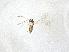  ( - QMOR87524)  @11 [ ] Unspecified (default): All Rights Reserved  Unspecified Unspecified