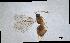  (Eustochus - QMOR87959)  @11 [ ] Unspecified (default): All Rights Reserved  Unspecified Unspecified