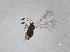  ( - QMOR87975)  @11 [ ] Unspecified (default): All Rights Reserved  Unspecified Unspecified