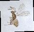  (Lymaenon - QMOR88005)  @11 [ ] Unspecified (default): All Rights Reserved  Unspecified Unspecified