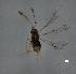  (Litus - QMOR88023)  @11 [ ] Unspecified (default): All Rights Reserved  Unspecified Unspecified
