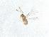 ( - QMOR88096)  @11 [ ] Unspecified (default): All Rights Reserved  Unspecified Unspecified