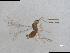 ( - QMOR88238)  @11 [ ] Unspecified (default): All Rights Reserved  Unspecified Unspecified