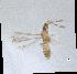  ( - QMOR91274)  @11 [ ] Unspecified (default): All Rights Reserved  Unspecified Unspecified
