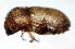  ( - NK2459)  @11 [ ] Copyright (2024) Mikhail Mandelshtam Research collection of Mikhail Mandelshtam