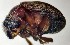  ( - NK2462)  @11 [ ] Copyright (2024) Mikhail Mandelshtam Research collection of Mikhail Mandelshtam