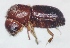  ( - NK2463)  @11 [ ] Copyright (2024) Mikhail Mandelshtam Research collection of Mikhail Mandelshtam