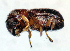  ( - NK2464)  @11 [ ] Copyright (2024) Mikhail Mandelshtam Research collection of Mikhail Mandelshtam