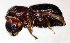  ( - NK2465)  @11 [ ] Copyright (2024) Mikhail Mandelshtam Research collection of Mikhail Mandelshtam