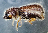  ( - NK2481)  @11 [ ] Copyright (2024) Alexander Petrov Research collection of Alexander Petrov