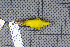  ( - MAR5735)  @13 [ ] Copyright (2013) Patrick Strutzenberger Senckenberg Natural History Collections Dresden