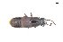  ( - CNCAJB18-32)  @11 [ ] CreativeCommons  Attribution Non-Commercial ShareAlike (2018) Unspecified Canadian National Collection of Insects
