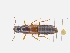  ( - CNCAJB19-90)  @11 [ ] CreativeCommons  Attribution Non-Commercial ShareAlike (2019) Unspecified Canadian National Collection of Insects