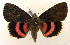  ( - 2157-COI-07)  @15 [ ] Unspecified (default): All Rights Reserved  Unspecified Unspecified