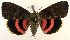  ( - 2158-COI-07)  @14 [ ] Unspecified (default): All Rights Reserved  Unspecified Unspecified