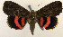  ( - 2159-COI-07)  @14 [ ] Unspecified (default): All Rights Reserved  Unspecified Unspecified