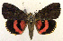  ( - 2160-COI-07)  @14 [ ] Unspecified (default): All Rights Reserved  Unspecified Unspecified