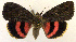  ( - 2161-COI-07)  @14 [ ] Unspecified (default): All Rights Reserved  Unspecified Unspecified
