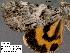  ( - 3334-COI-08)  @12 [ ] Unspecified (default): All Rights Reserved  Unspecified Unspecified