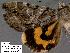  ( - 3336-COI-08)  @12 [ ] Unspecified (default): All Rights Reserved  Unspecified Unspecified