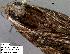  ( - 3353-COI-08)  @12 [ ] Unspecified (default): All Rights Reserved  Unspecified Unspecified