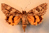  ( - 2166-030789-CA)  @14 [ ] Unspecified (default): All Rights Reserved  Unspecified Unspecified