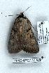  ( - 2018-070707-WI)  @13 [ ] Unspecified (default): All Rights Reserved  Unspecified Unspecified