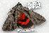 ( - 2035-040507-FL)  @13 [ ] Unspecified (default): All Rights Reserved  Unspecified Unspecified