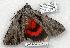  ( - 2035-040507-FL)  @13 [ ] Unspecified (default): All Rights Reserved  Unspecified Unspecified