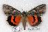  ( - 2056-230707-WI)  @14 [ ] Unspecified (default): All Rights Reserved  Unspecified Unspecified