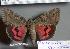  ( - 2112-010704-RU)  @12 [ ] Unspecified (default): All Rights Reserved  Unspecified Unspecified