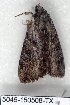  ( - 5046-150508-TX)  @11 [ ] Unspecified (default): All Rights Reserved  Unspecified Unspecified