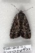  ( - 5048-150508-TX)  @11 [ ] Unspecified (default): All Rights Reserved  Unspecified Unspecified