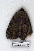  ( - 5096-280808-IN)  @12 [ ] Unspecified (default): All Rights Reserved  Unspecified Unspecified