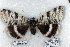  ( - 5588-180908-WI)  @13 [ ] Unspecified (default): All Rights Reserved  Unspecified Unspecified