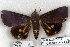  ( - 5590-120505-TH)  @14 [ ] Unspecified (default): All Rights Reserved  Unspecified Unspecified