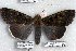  ( - 5684-230508-MY)  @13 [ ] Unspecified (default): All Rights Reserved  5684-230508-MY Unspecified