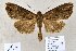  ( - 20165-240911-CH)  @13 [ ] Copyright (2013) Aidas Saldaitis Vilinus Ecological Institute