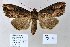  ( - 20167-240911-CH)  @13 [ ] Copyright (2013) Aidas Saldaitis Vilinus Ecological Institute