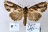  ( - 20168-240911-CH)  @14 [ ] Copyright (2013) Aidas Saldaitis Vilinus Ecological Institute