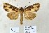  ( - 20169-240911-CH)  @13 [ ] Copyright (2013) Aidas Saldaitis Vilinus Ecological Institute