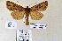  ( - 20172-071010-CH)  @13 [ ] Copyright (2013) Aidas Saldaitis Vilinus Ecological Institute