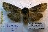  ( - 20181-050394-JA)  @11 [ ] Copyright (2013) Aidas Saldaitis Vilinus Ecological Institute