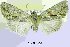  ( - 20195-180703-FR)  @11 [ ] Copyright (2013) Aidas Saldaitis Vilinus Ecological Institute
